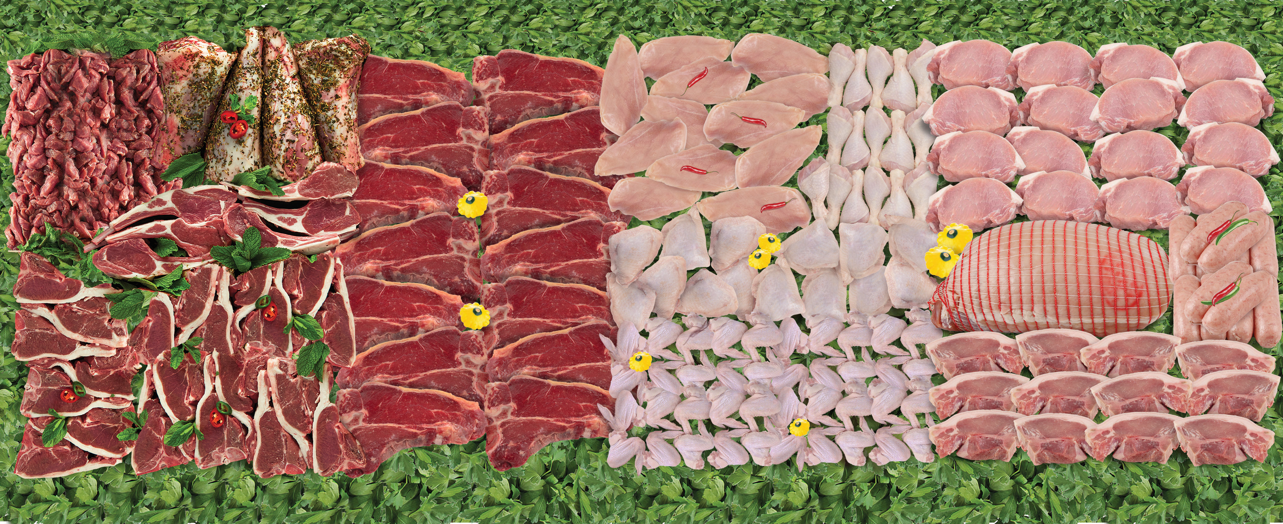 Zoomed Image