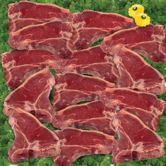 T-Bone Steaks T-Bone Steaks