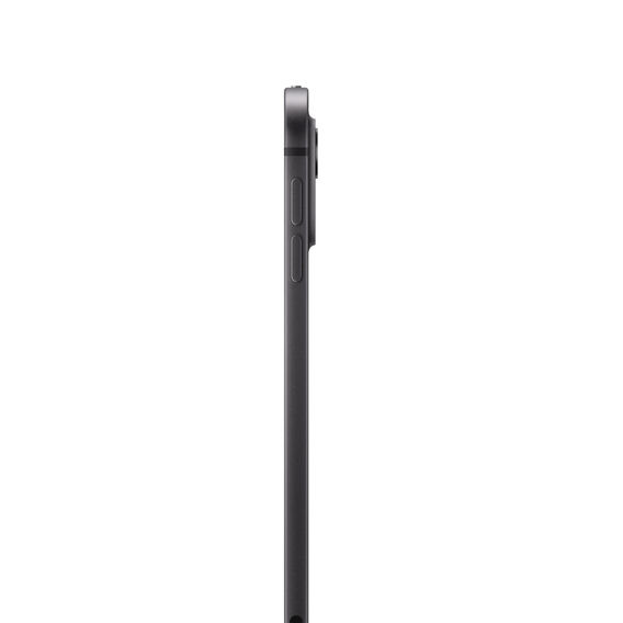 iPad Pro 11in Cell - 1TB Space Black