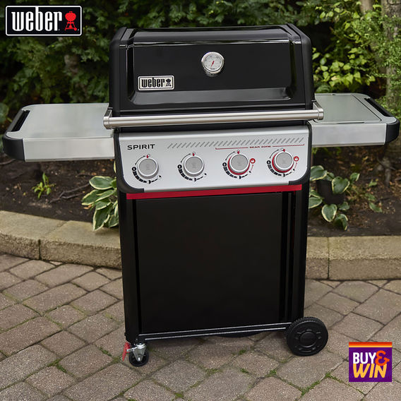 Weber® Spirit® E-425