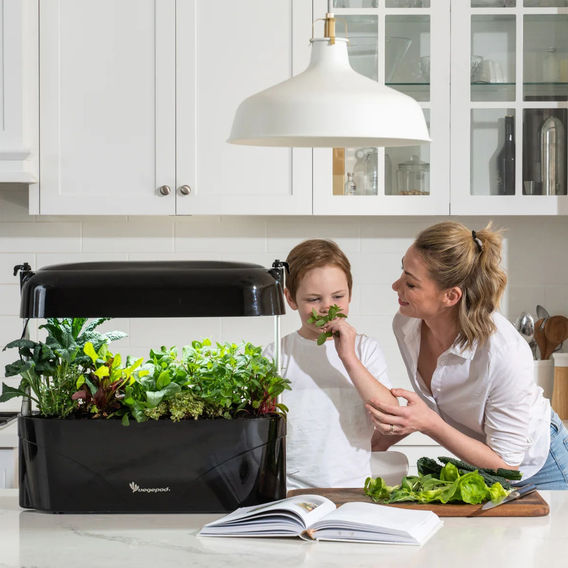 Vegepod KitchenGarden - Black Vegepod KitchenGarden - Black