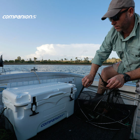 Companion 70L Ice Box