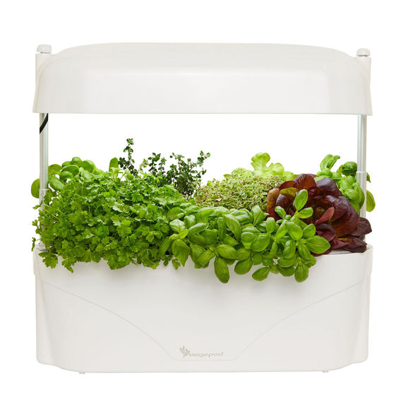 Vegepod KitchenGarden - White
