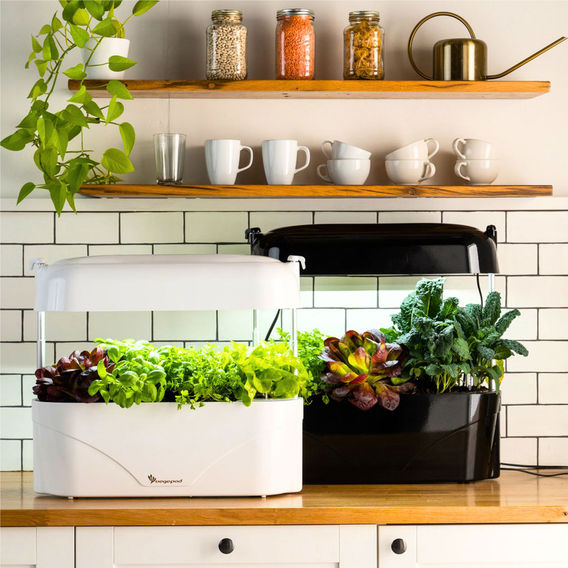 Vegepod KitchenGarden - White