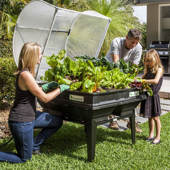 Vegepod Medium Raised Garden Bed With VegeCover & Stand Bundle
