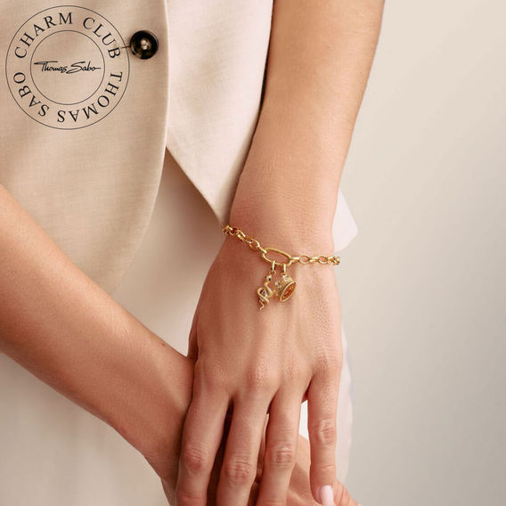 TS Charm Club Connect Charm Gold Set