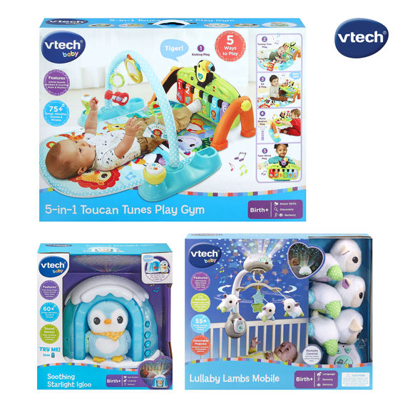 VTech Play Gym Bundle