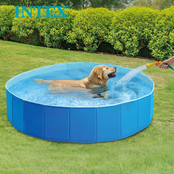 INTEX FOLDABLE PET POOL INTEX FOLDABLE PET POOL