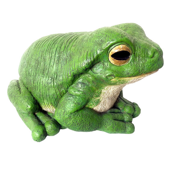 Rainforest Garden Green Frog Bundle