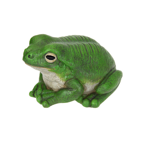 Rainforest Garden Green Frog Bundle