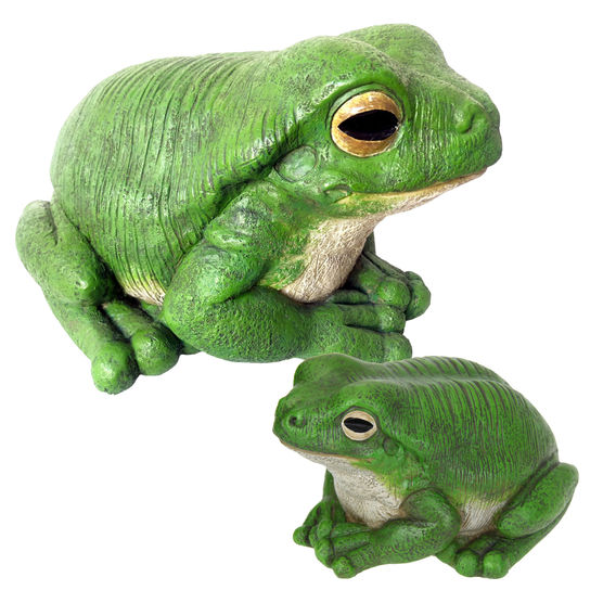Rainforest Garden Green Frog Bundle Rainforest Garden Green Frog Bundle