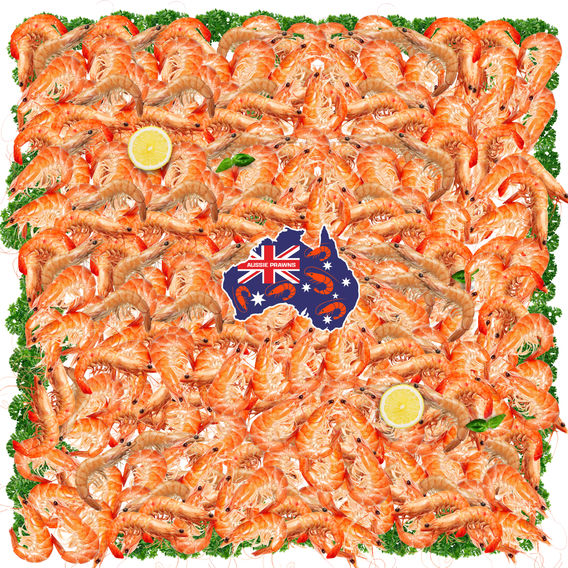 Prawn Bumper Box