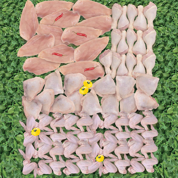 Chicken Mixed Pieces