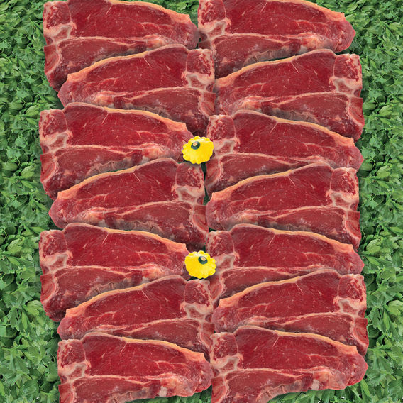 T-Bone Steaks