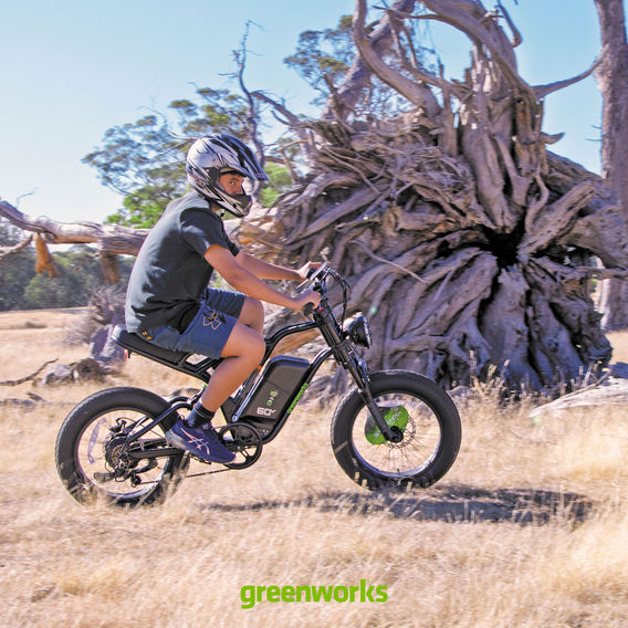 Greenworks Venture Series 20