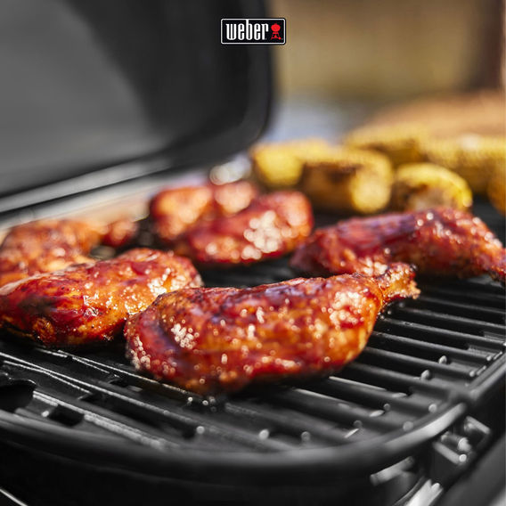 Weber Traveler Compact Weber Traveler Compact