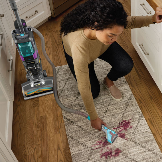 Shark CarpetXpert HairPro Pet with StainStriker Dark Silver Shark CarpetXpert HairPro Pet with StainStriker Dark Silver