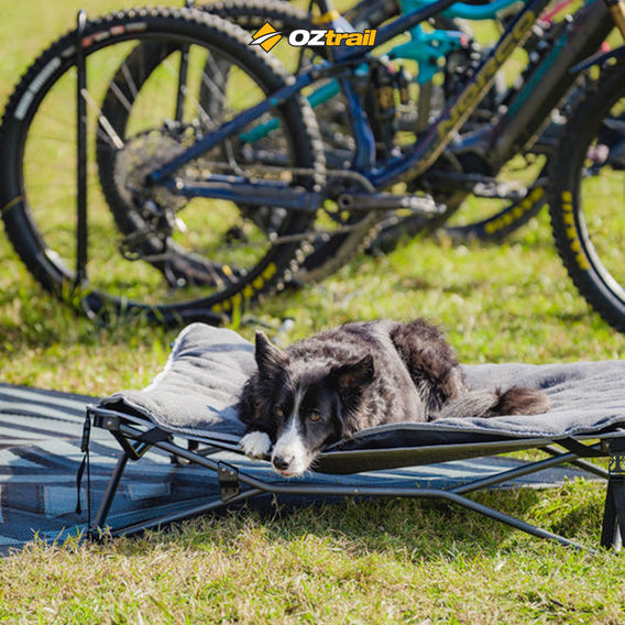 OZtrail Dog Bed & Fleece Topper Large