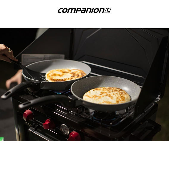 Companion Portable Outdoor Gas Stove Oven Combo