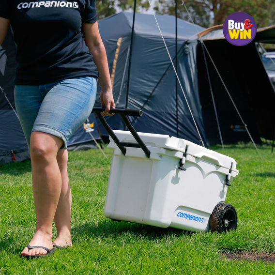wheeled icebox