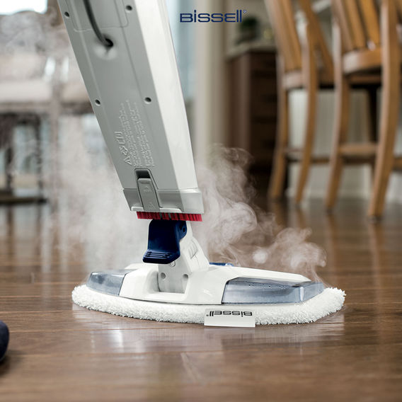 Bissell PowerFresh Deluxe