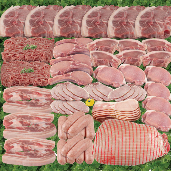 Plenty of Pork Plenty of Pork