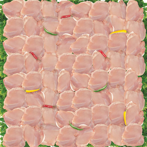 Chicken Thighs Chicken Thighs