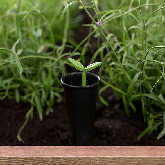 Keter Elevated Garden Bed