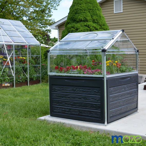 Maze Plant Inn - Mini Greenhouse