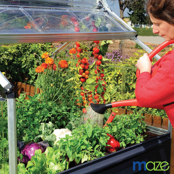 Maze Plant Inn - Mini Greenhouse