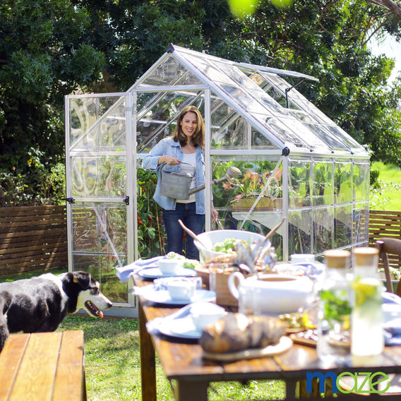 Maze 6 x 8’ Harmony Greenhouse Maze 6 x 8’ Harmony Greenhouse