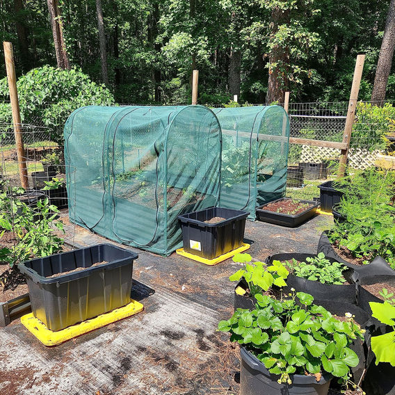 Maze ARCH NET Crop Protection Cage – Compact Maze ARCH NET Crop Protection Cage – Compact