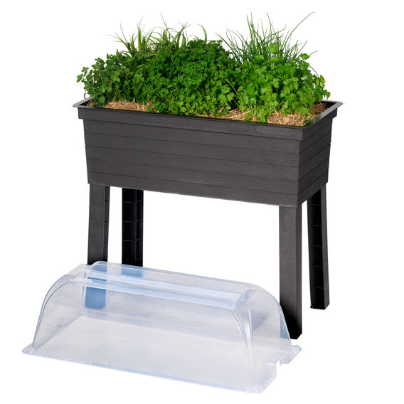 Maze URBAN Raised Planter with Cloche Cover