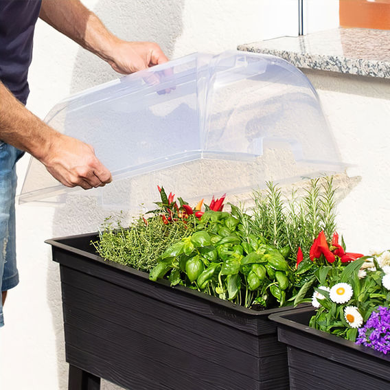 Maze URBAN Raised Planter with Cloche Cover Maze URBAN Raised Planter with Cloche Cover
