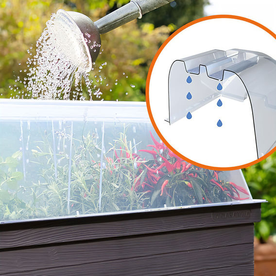 Maze URBAN Raised Planter with Cloche Cover