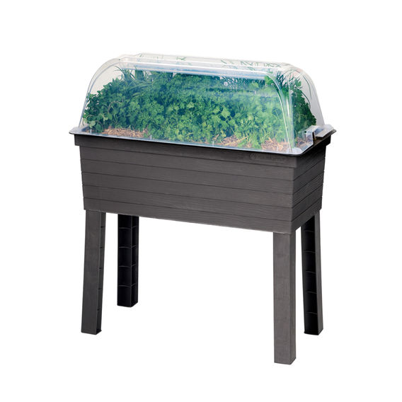 Maze URBAN Raised Planter with Cloche Cover