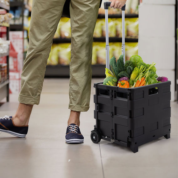Maze Foldable Buggy Bundle Maze Foldable Buggy Bundle