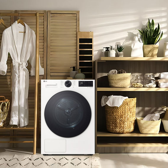 LG 10.0kg Heat Pump Dryer White